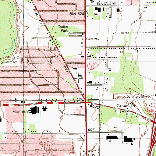 Topographic Map of Omega Academic Center, TX