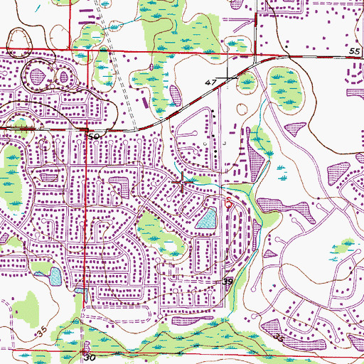 Topographic Map of Carrollwood Meadows, FL
