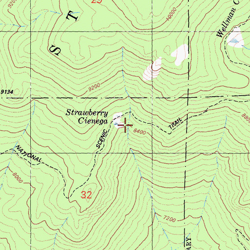Topographic Map of Strawberry Cienaga, CA