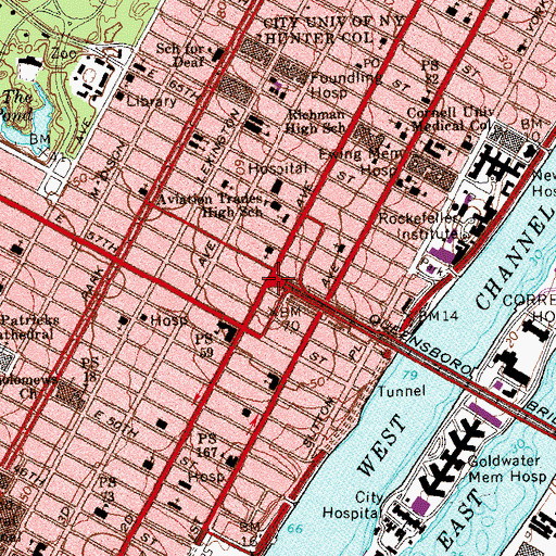 Topographic Map of Tramway Plaza, NY