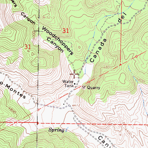 Topographic Map of Woodchoppers Canyon, CA