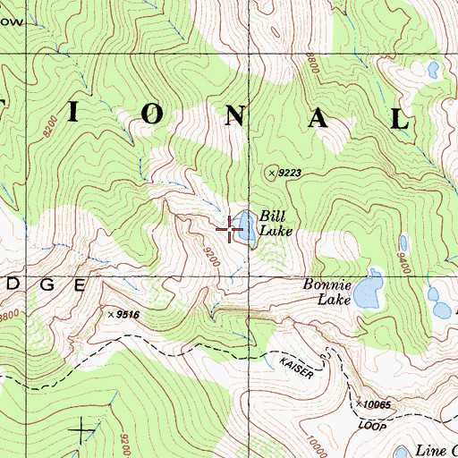 Topographic Map of Bill Lake, CA