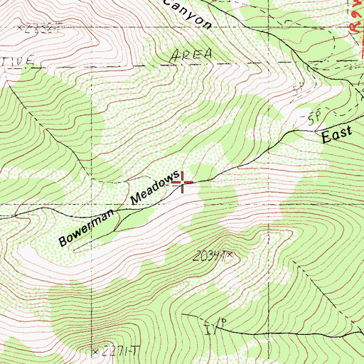 Topographic Map of Bowerman Meadows, CA