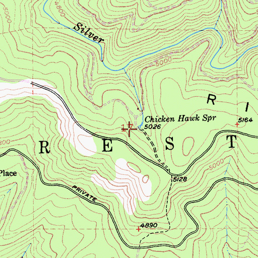 Topographic Map of Chicken Hawk Spring, CA