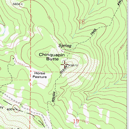 Topographic Map of Chinquapin Butte, CA