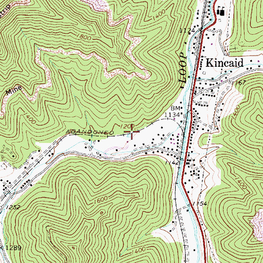 Topographic Map of Kincaid Census Designated Place, WV