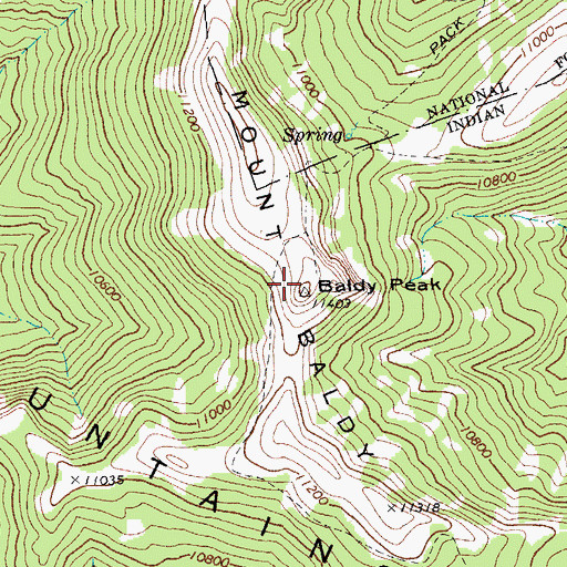Topographic Map of Mount Baldy, AZ