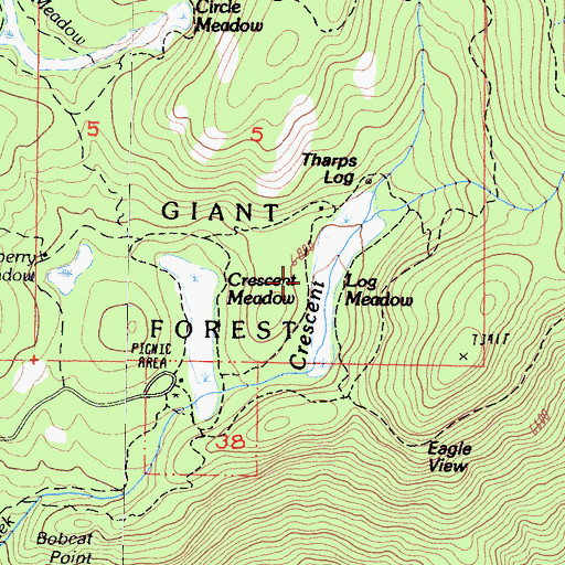 Topographic Map of Log Meadow, CA