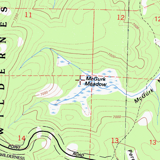 Topographic Map of McGurk Meadow, CA