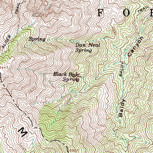 Topographic Map of Black Bear Spring, AZ