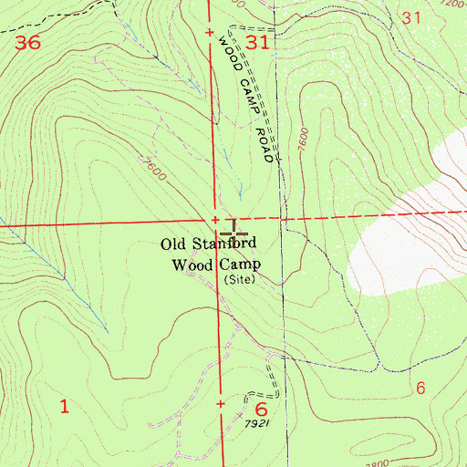 Topographic Map of Old Stanford Wood Camp, CA