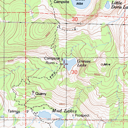 Topographic Map of Grouse Lake, CA