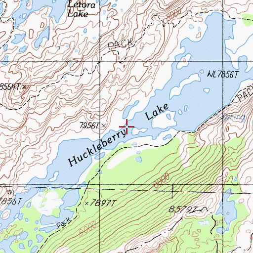 Topographic Map of Huckleberry Lake, CA
