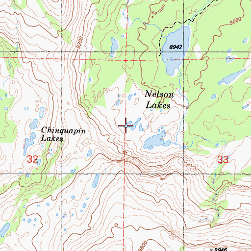 Topographic Map of Nelson Lakes, CA