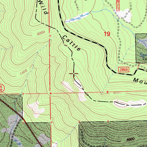 Topographic Map of Wild Cattle Mountain, CA