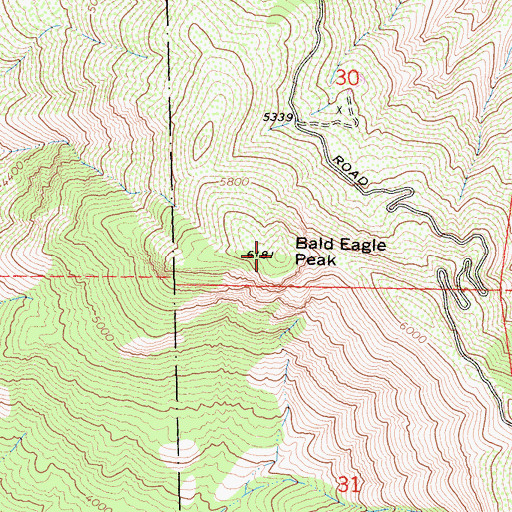 Topographic Map of Bald Eagle Peak, CA