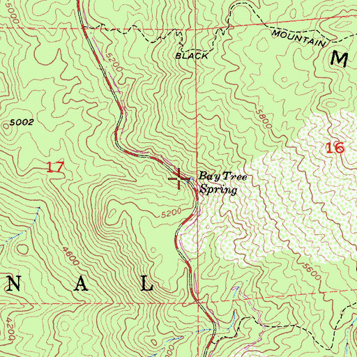 Topographic Map of Bay Tree Spring, CA