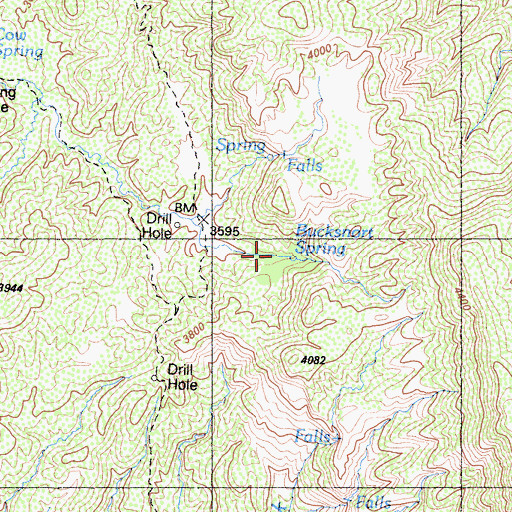 Topographic Map of Bucksnort Spring, CA