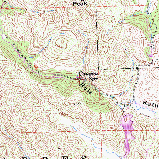 Topographic Map of Canyon Spring, CA
