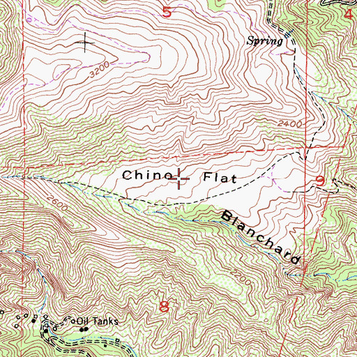 Topographic Map of Chino Flat, CA
