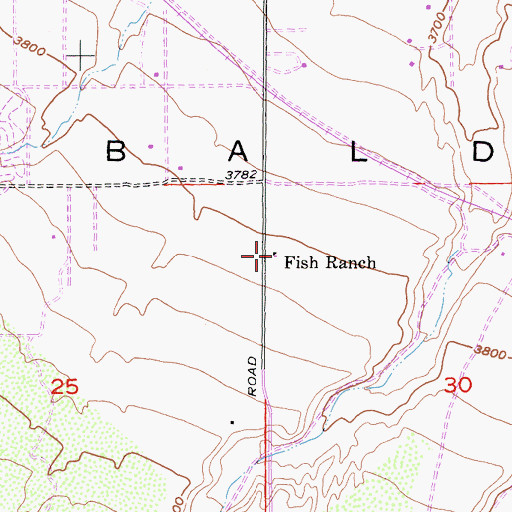Topographic Map of Fish Ranch, CA