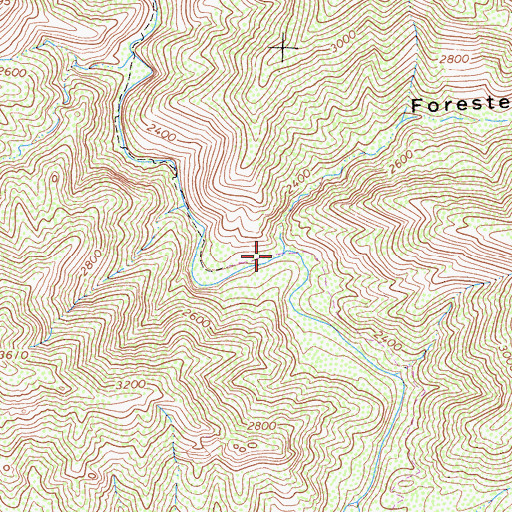 Topographic Map of Foresters Leap Canyon, CA