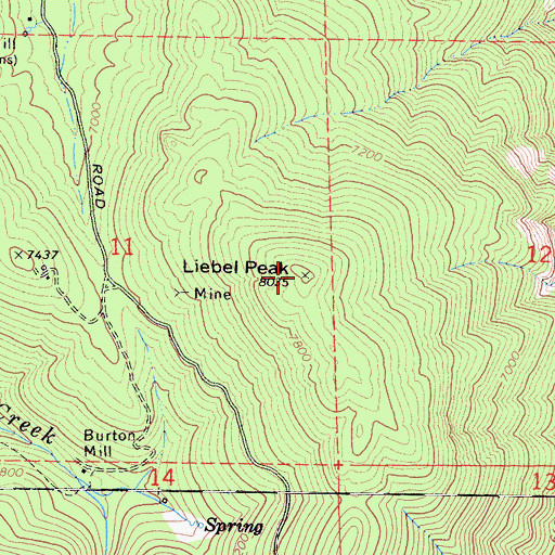 Topographic Map of Liebel Peak, CA