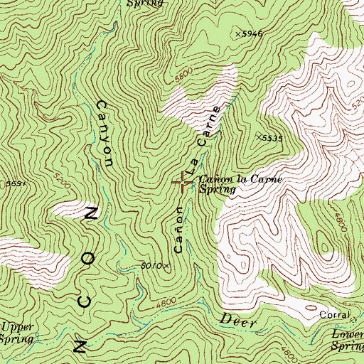 Topographic Map of Caon la Carne Spring, AZ