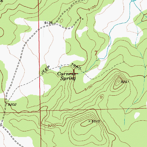 Topographic Map of Carnero Spring, AZ