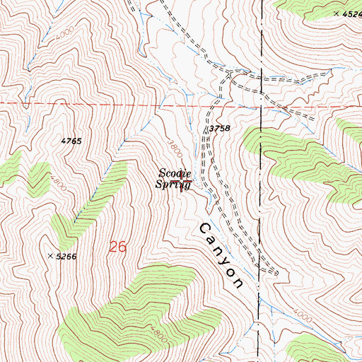 Topographic Map of Scodie Spring, CA
