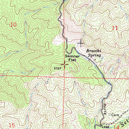 Topographic Map of Skinner Flat, CA
