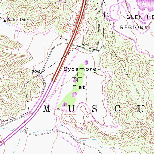 Topographic Map of Sycamore Flat, CA