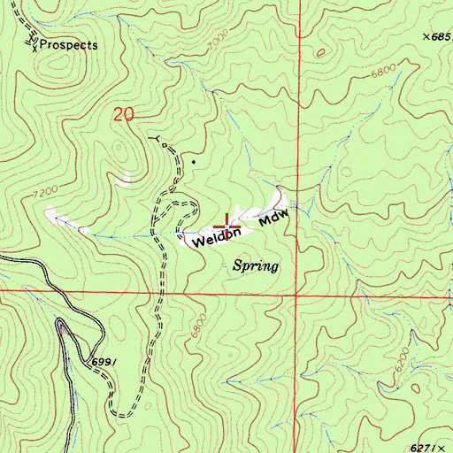 Topographic Map of Weldon Meadow, CA