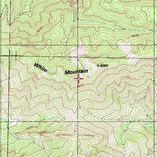 Topographic Map of White Mountain Trail (historical), CA