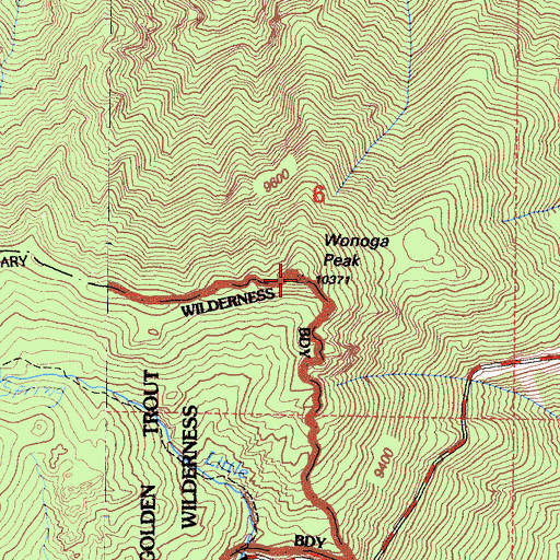 Topographic Map of Wonoga Peak, CA