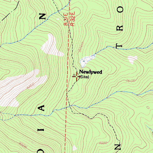 Topographic Map of Newlywed, CA