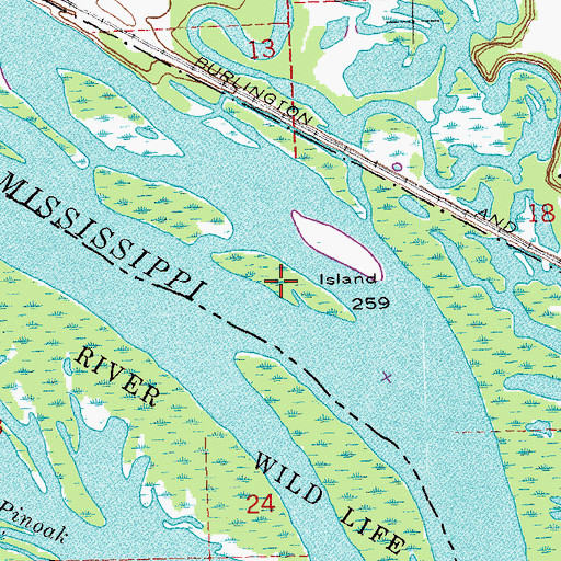 Topographic Map of Island Number 259, IL