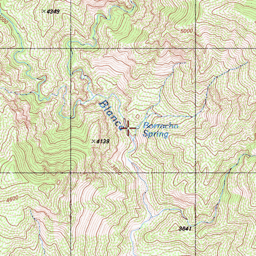 Topographic Map of Borracho Spring, CA