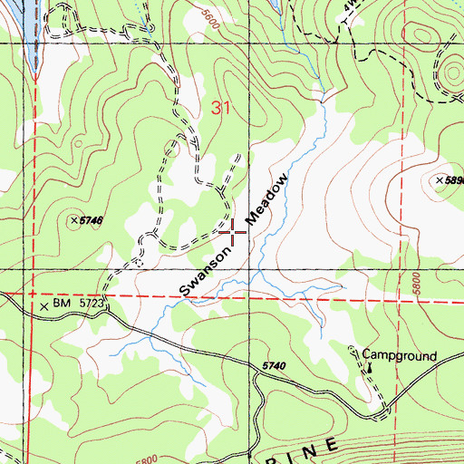 Topographic Map of Swanson Meadow, CA