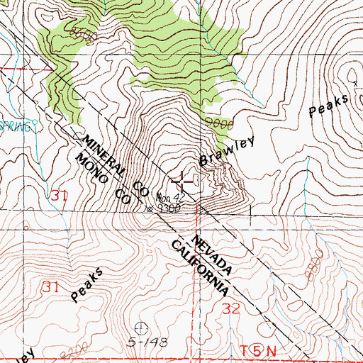 Topographic Map of West Braly Peak, NV