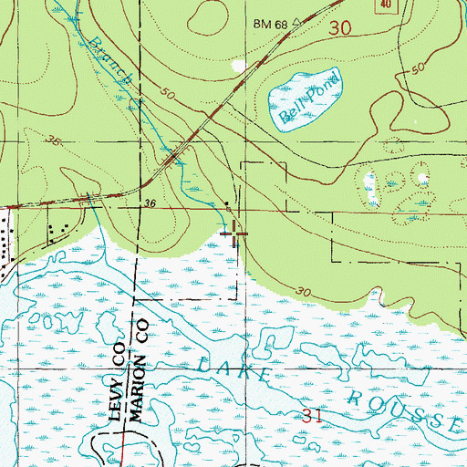 Topographic Map of Bell Branch, FL