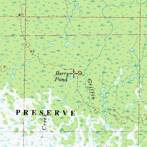 Topographic Map of Berry Pond, FL