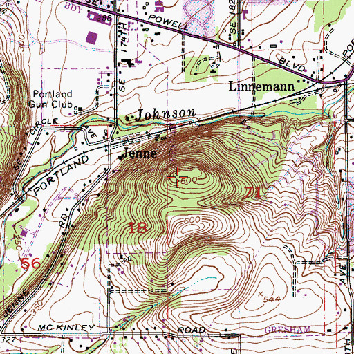 Topographic Map of Jenne Butte, OR