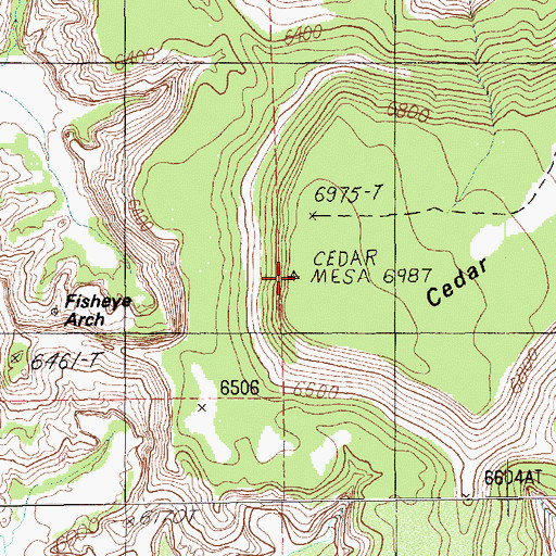 Topographic Map of Cedar Mesa, UT