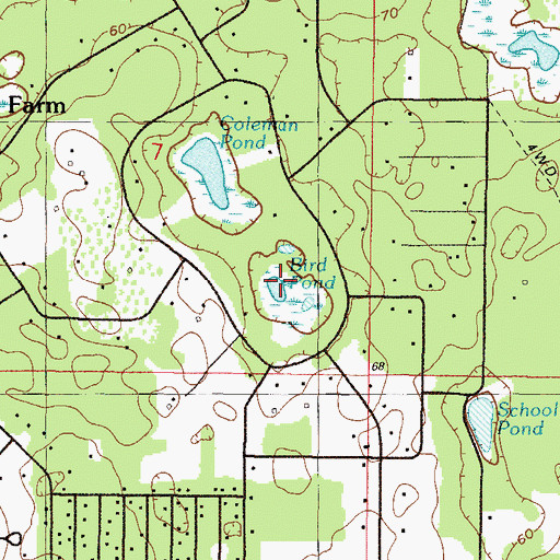 Topographic Map of Bird Pond, FL