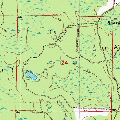 Topographic Map of Brushy Hammock, FL