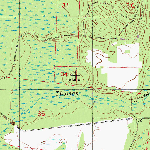 Topographic Map of Calf Island, FL