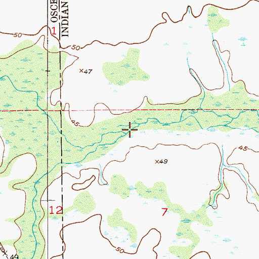 Topographic Map of Cow Log Branch, FL