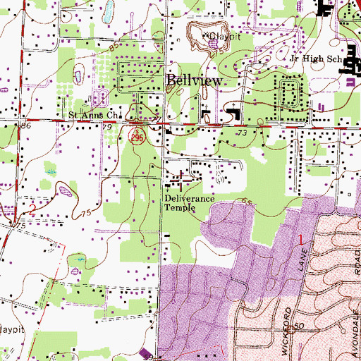 Topographic Map of Deliverance Temple, FL