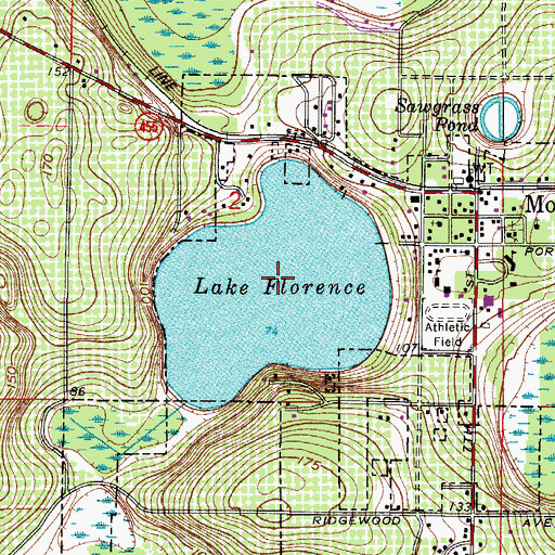 Topographic Map of Lake Florence, FL